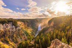 image of yellowstone national park