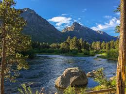 image of yellowstone national park